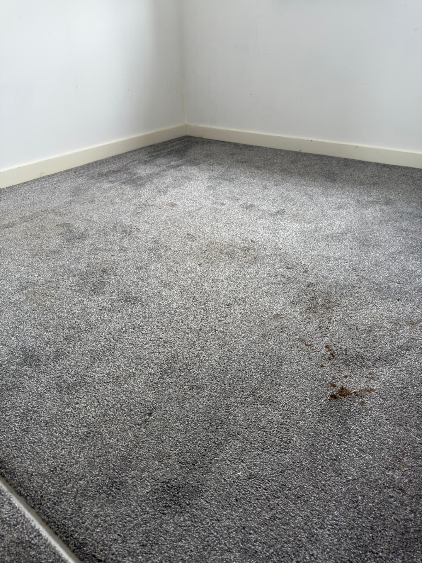 Grey bedroom carpet with stains and traffic marks before machine cleaning