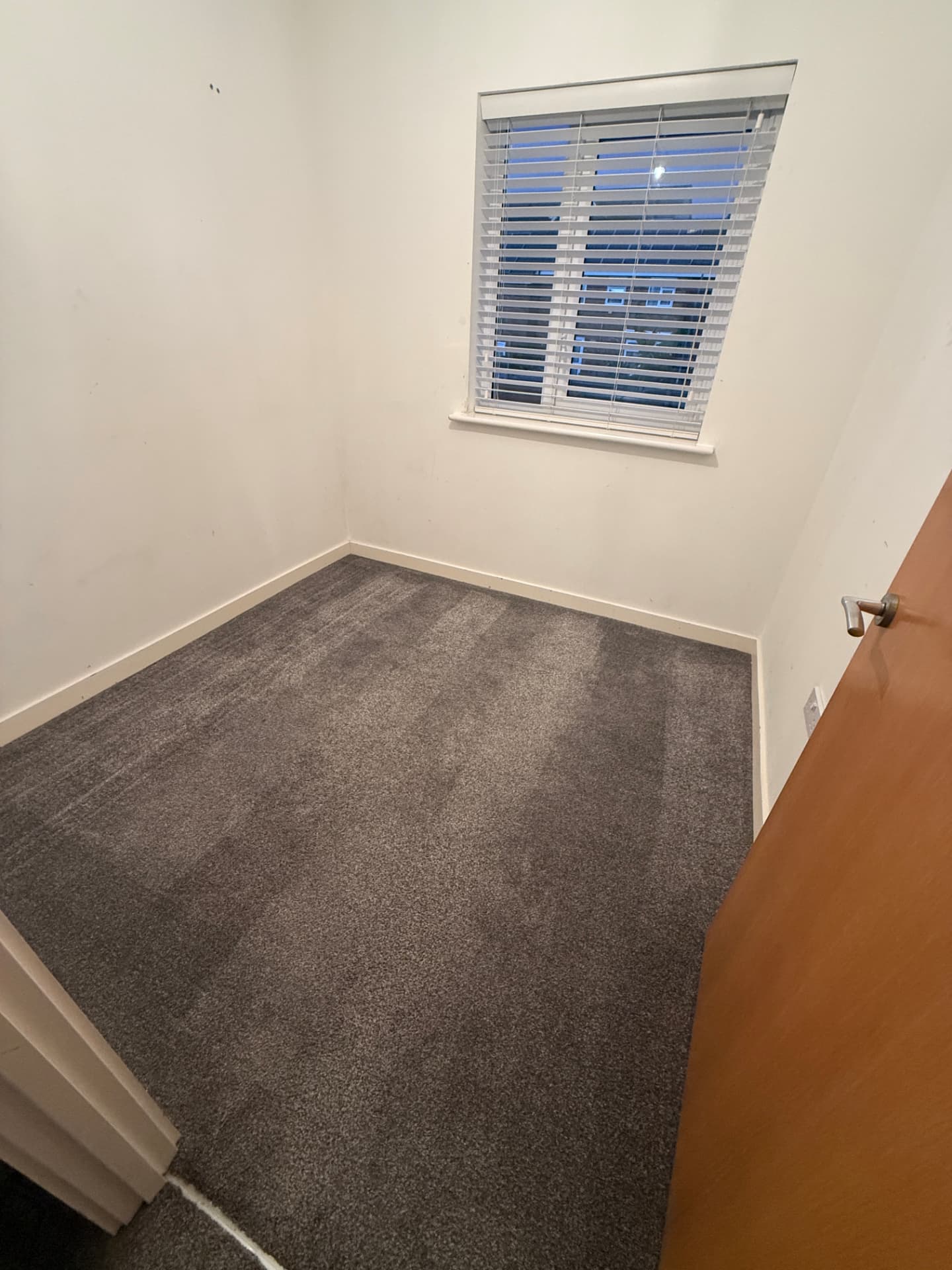 The same carpet freshly machine cleaned with an even, clean pile