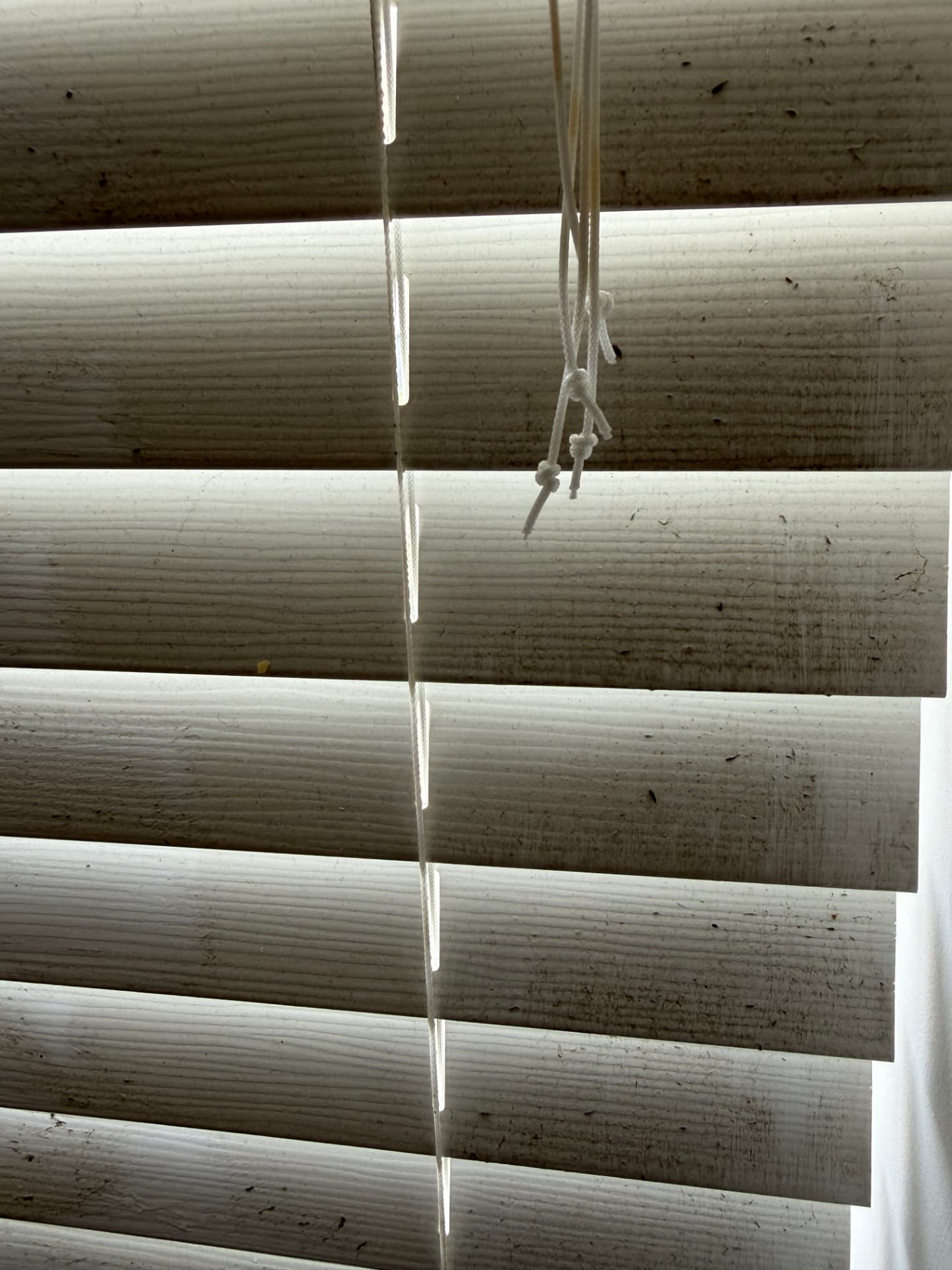 Wooden window blinds coated in dust and cobwebs before cleaning
